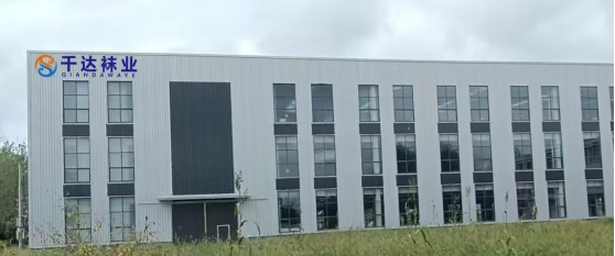 以精益為綱，筑智造基底——安徽千達襪業新廠房布局規劃